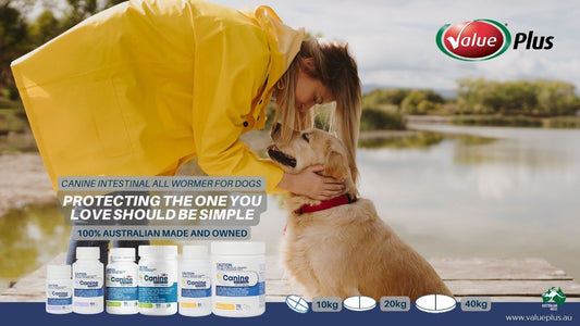 Canine All Wormer® Tablets – Now in 3 Convenient Sizes for Easier Dosing