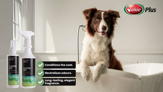 LustreVet: Shine, Freshen, and Pamper Your Pet Between Baths