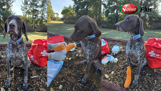 Supporting Australia’s K9 Heroes – Value Plus Partners with SARDA