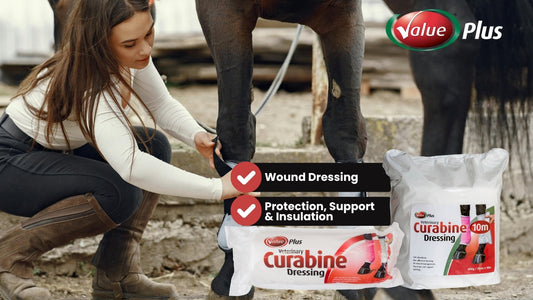 Protect, Support, and Heal – Discover Veterinary Curabine® Dressing by Value Plus