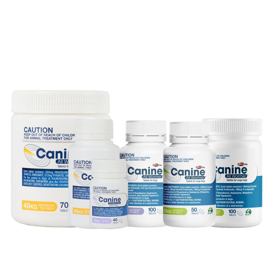 Canine All Wormer Tablets –