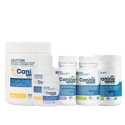 Canine All Wormer Tablets