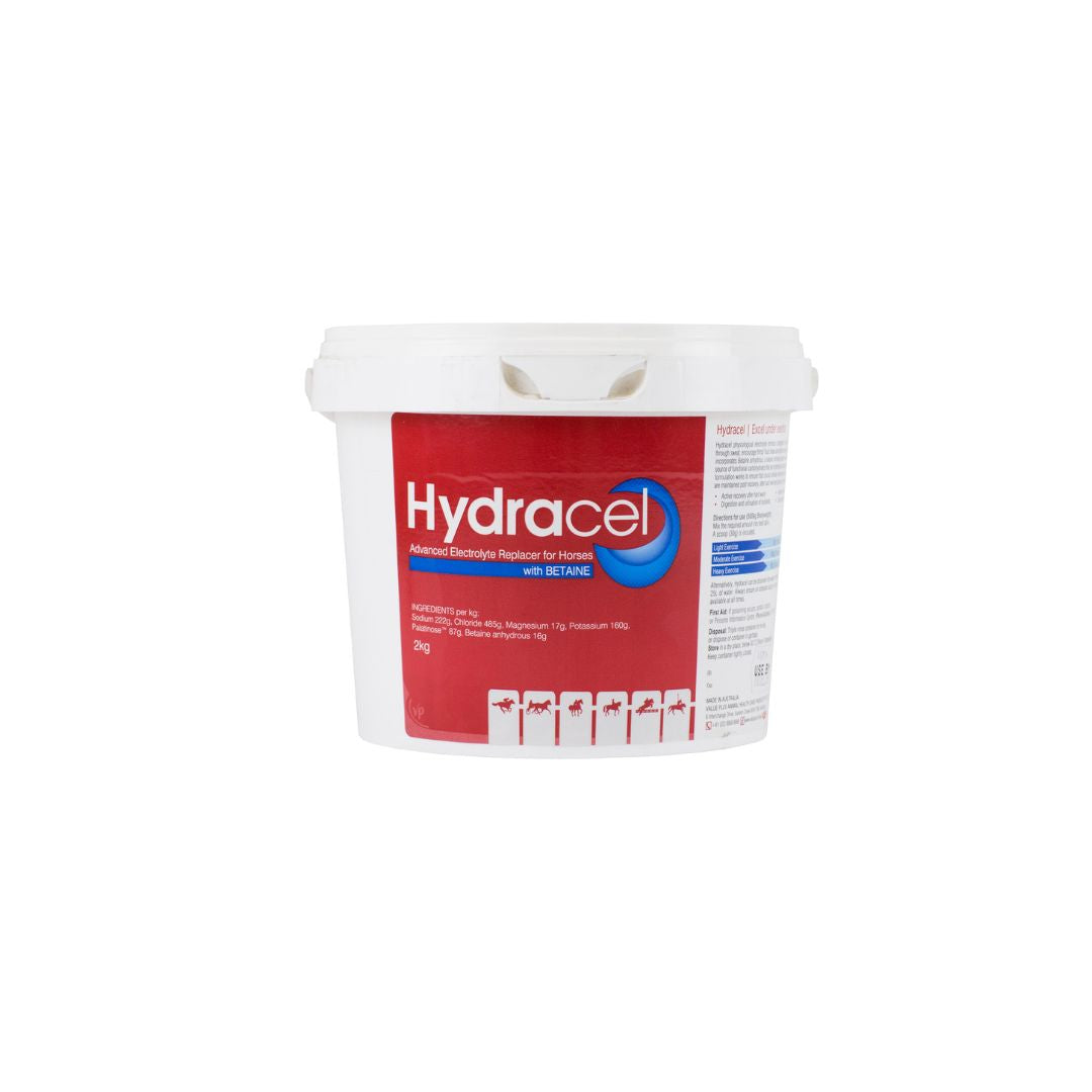 Hydracel Advanced Electrolyte Replacer for Horses