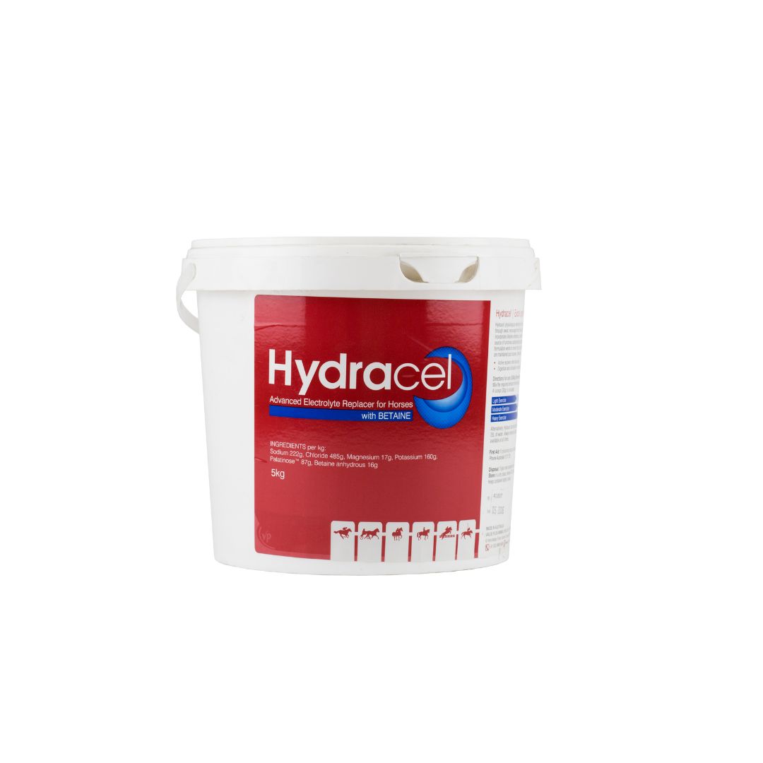 Hydracel Advanced Electrolyte Replacer for Horses