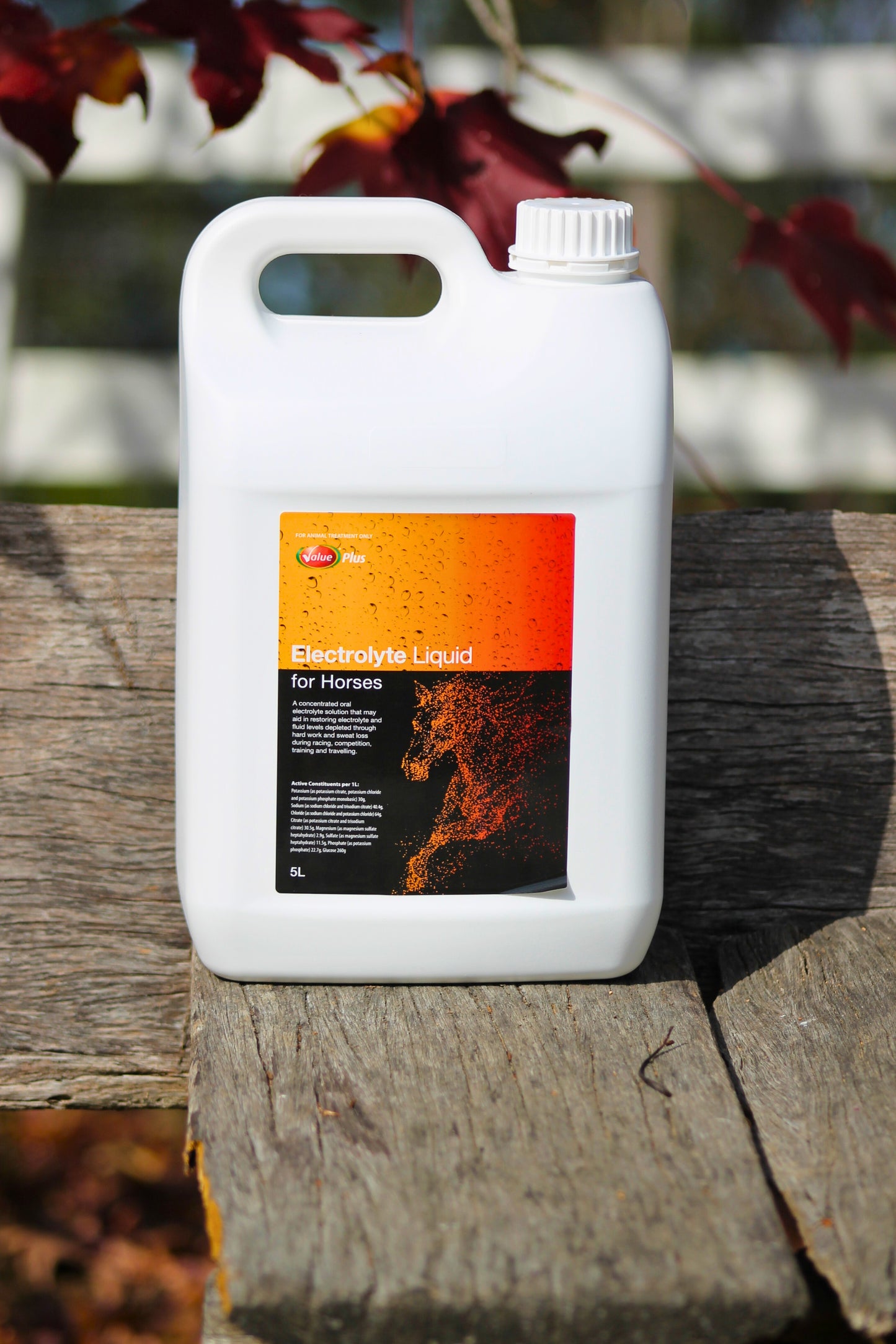 Electrolyte Liquid for Horses