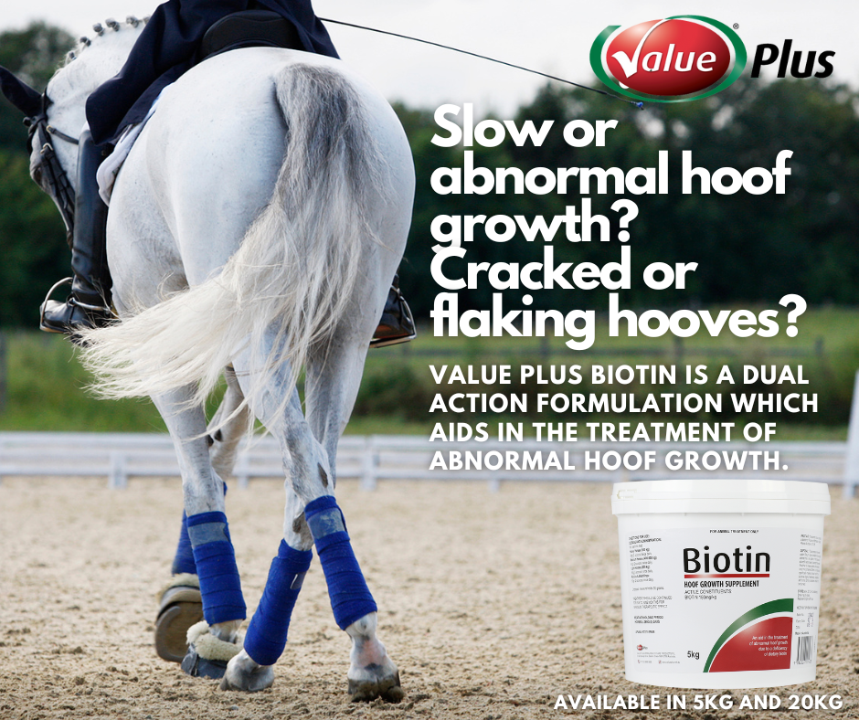 Unlocking the Power of Biotin for Optimal Hoof Growth