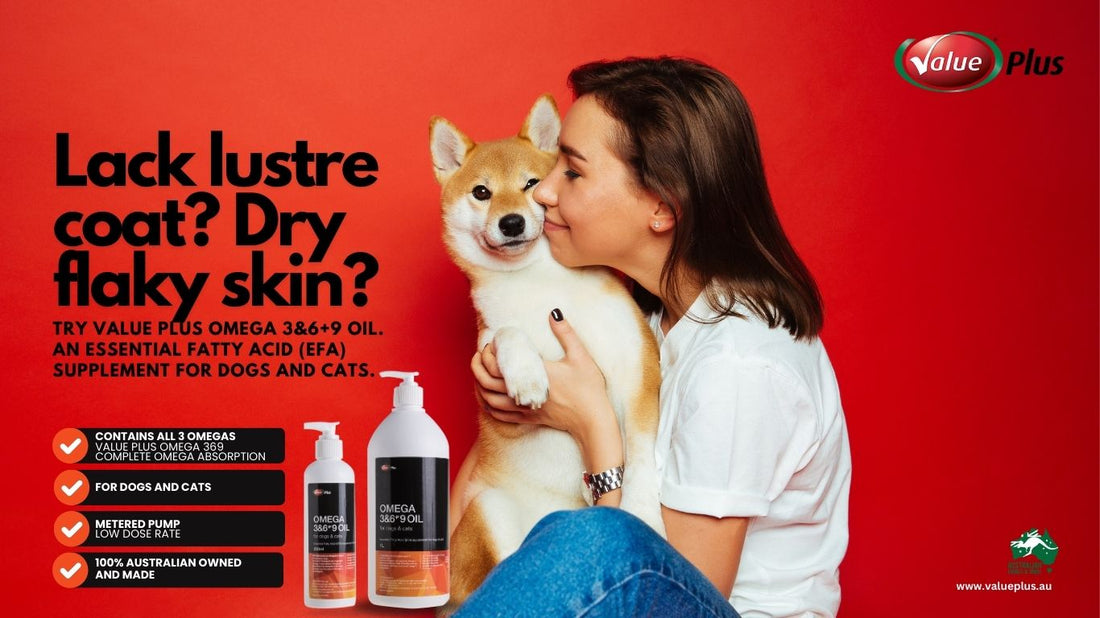 Unlock the Health Benefits of Value Plus Omega 3, 6 & 9 Oil for Your Pets