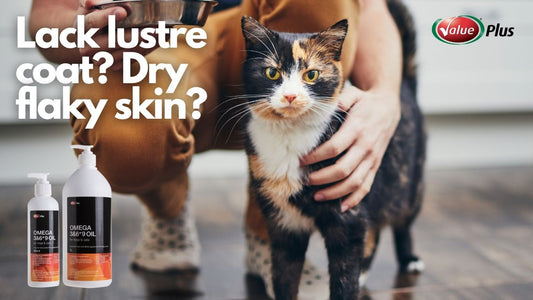 Why Your Cat Might Need an Omega Supplement – More Than Just a Shiny Coat!