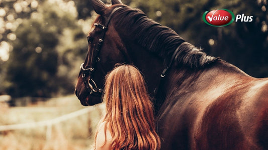Why Fast Electrolyte Replacement Matters for Horses in Work