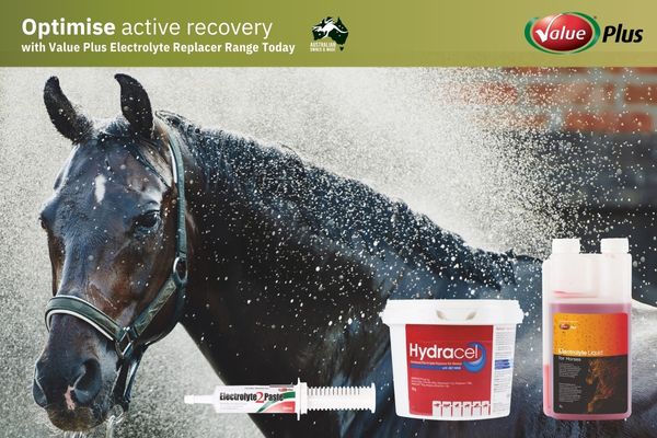 Electrolyte in Horses