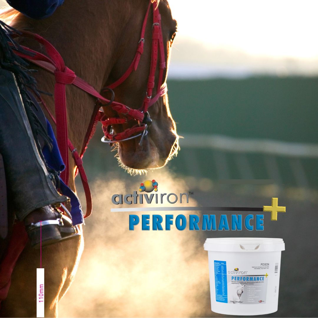 Activiron- Specialist iron, vitamin & mineral supplement for horses