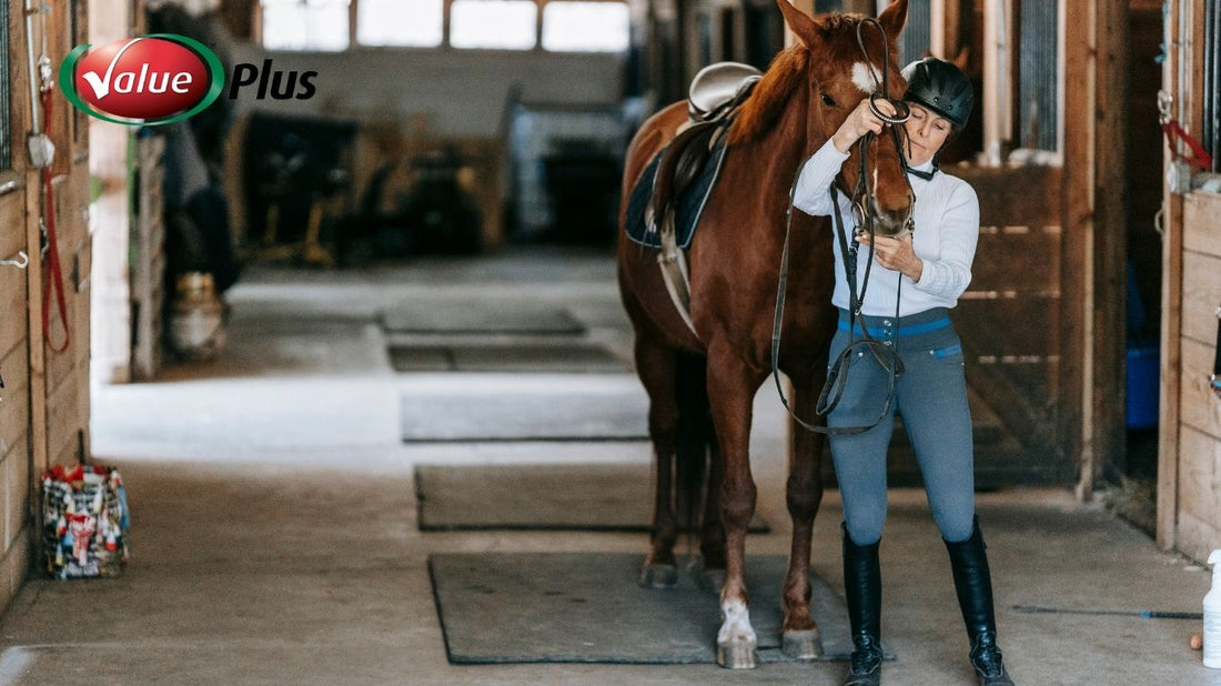 Be Prepared: The Importance of a Well-Stocked First Aid Kit for Horse Owners