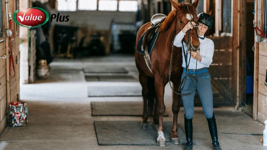 Be Prepared: The Importance of a Well-Stocked First Aid Kit for Horse Owners