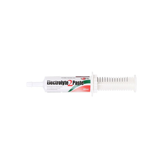 Electrolyte 2 Paste for Horses