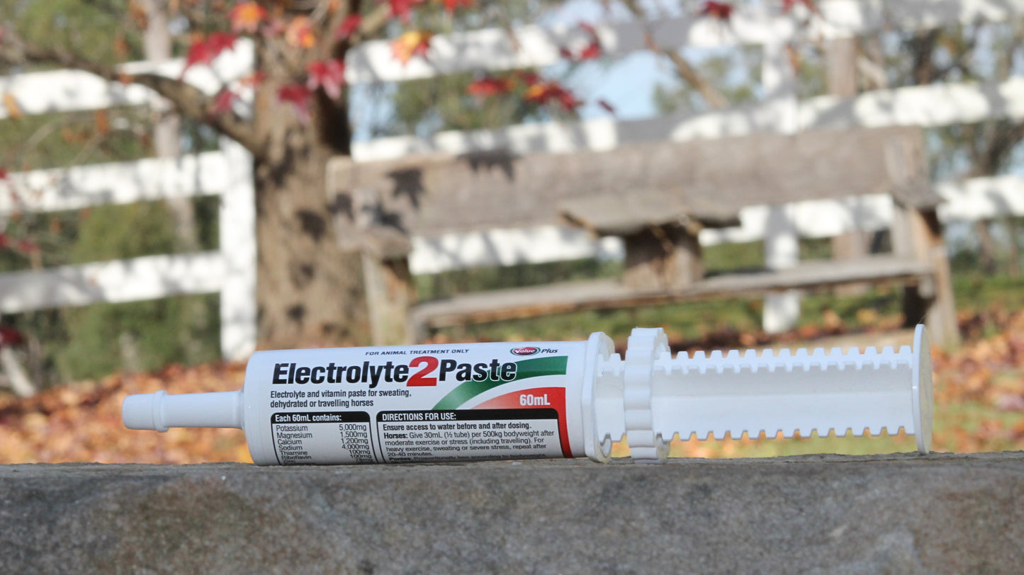 Electrolyte 2 Paste for Horses