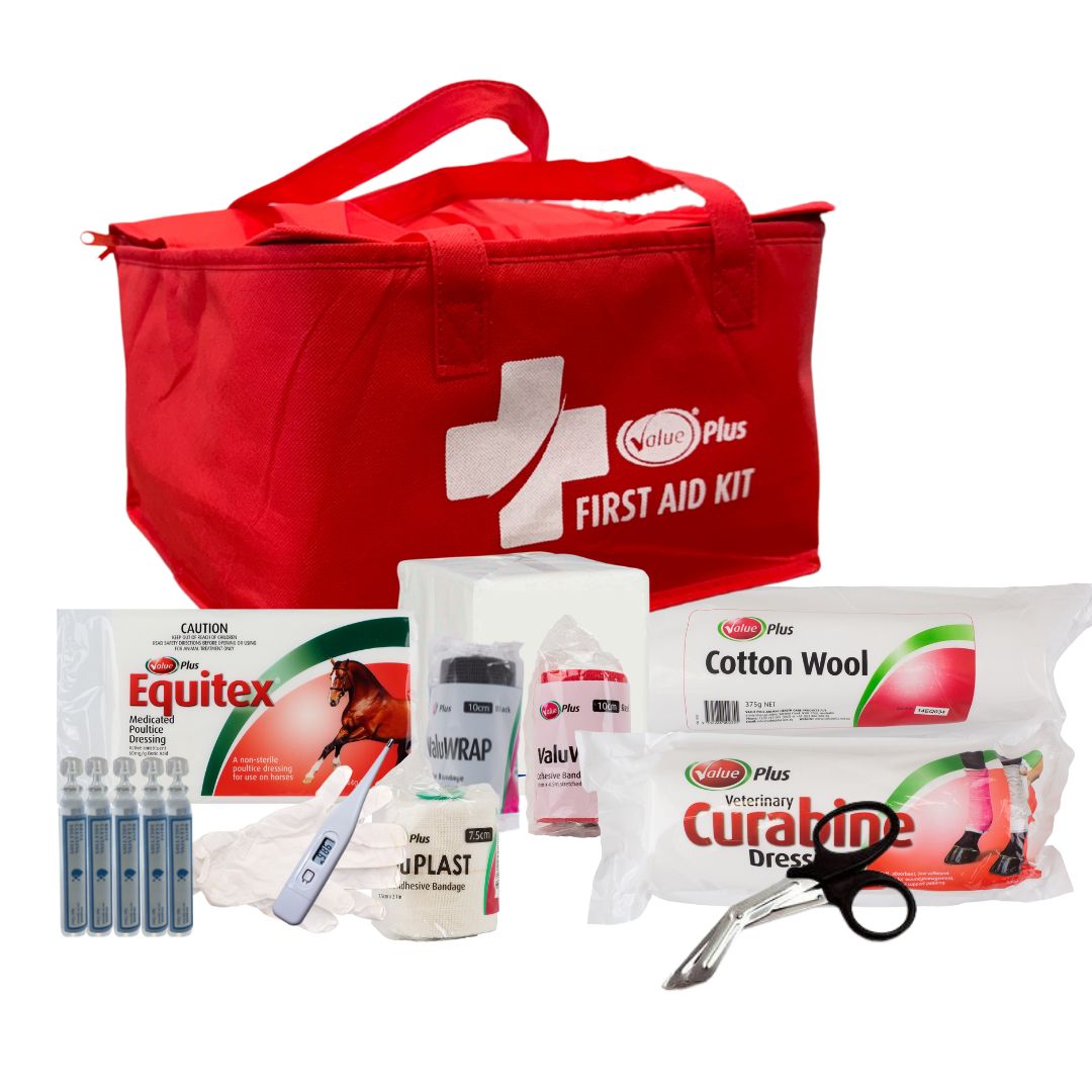 Value Plus First Aid Kit